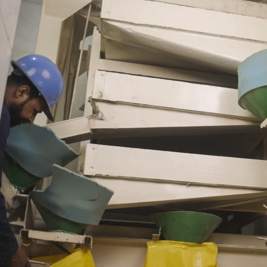 Kohenoor multi-channel grain sorter — seed processing machinery