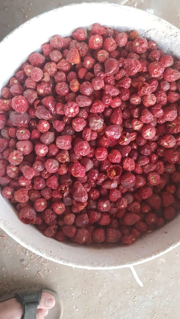 Dried Long Chilli without stem