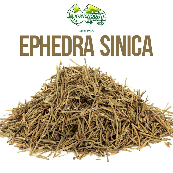 Ephedra Sinica — Kohenoor International