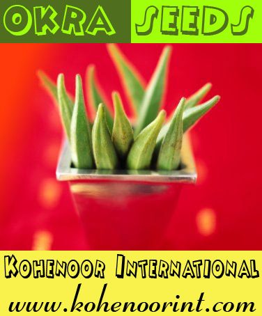 Okra Seeds — Lady Finger