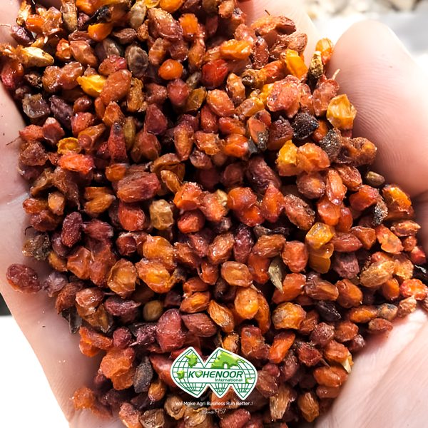 Sea Buckthorn Juice