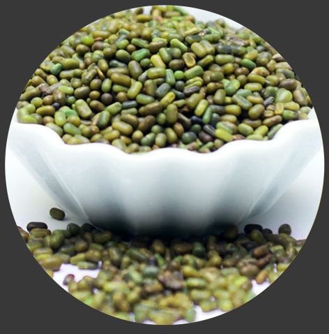 Sesbania Seeds