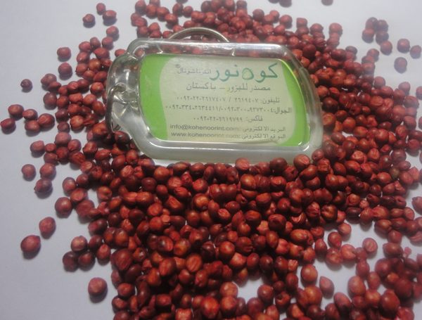 Hybrid Sorghum Sudan Grass