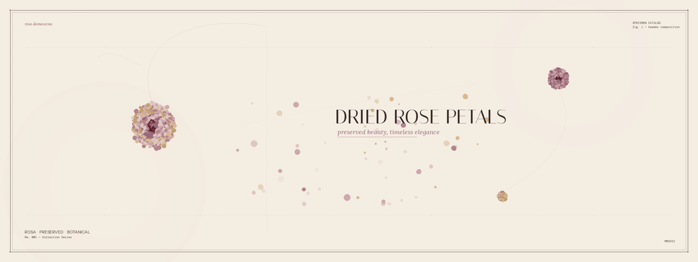 Premium dried rose petals for Attar and perfumery importers
